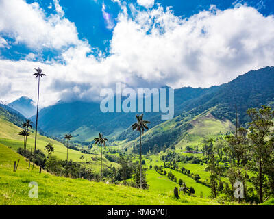 Bella giornata di escursioni paesaggio della Valle del Cocora nel Salento, Colombia Foto Stock