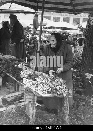 Stallo del mercato nel periodo pre-natalizio sul Viktualienmarkt in inverno 1961. Foto Stock