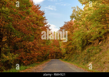 Una strada tortuosa sotto alberi colori mutevoli in autunno in montagna Börzsöny di Ungheria Foto Stock