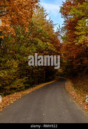 Una strada tortuosa sotto alberi colori mutevoli in autunno in montagna Börzsöny di Ungheria Foto Stock