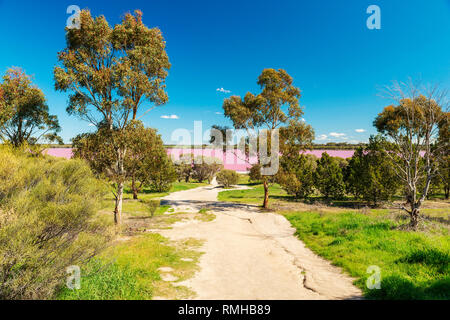 Vista verso il Lago Rosa, un famoso lago salato lungo l'Autostrada Occidentale a Victoria, Australia Foto Stock