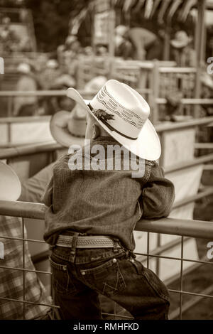 Giovani cowboy standing sulla recinzione guardando un rodeo in Texas USA Foto Stock