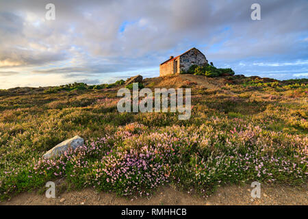 Il presepio capanno vicino a motore Tywarnhalye vicino casa Porthtowan in Cornovaglia. Foto Stock