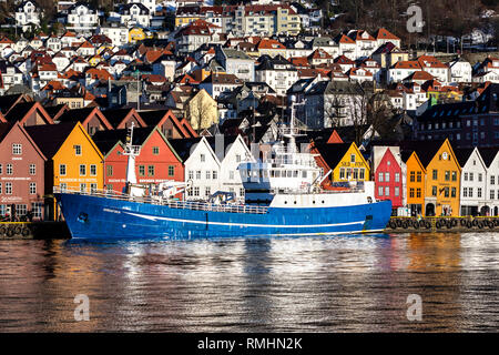 Ricostruita peschereccio, ora cargo/olio di pesce di petroliere e navi di servizio Hordafor III. Nel porto di Bergen, Norvegia. Foto Stock