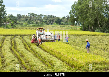 Operatore di manovra DC Kubota-60 trebbiatrice di riso, Can Tho Provincia, il Delta del Mekong, Vietnam, in Indocina. Foto Stock