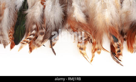 Piume colorate sulla texture whitebackground con spazio copu Foto Stock