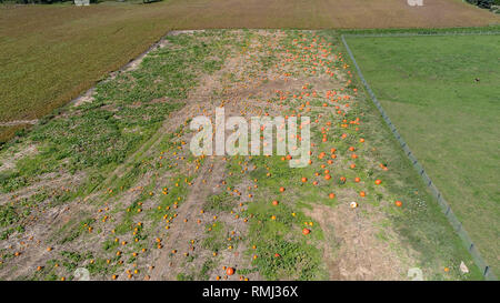 Vista aerea della zucca Amish agriturismo campagna autunnale da un drone Foto Stock