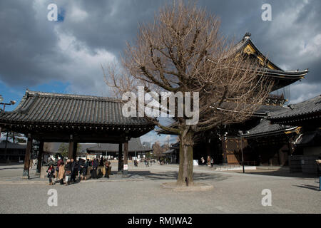 Fontana di drago, accanto ad albero, il Tempio Higashi Honganji, Kyoto, Giappone Foto Stock