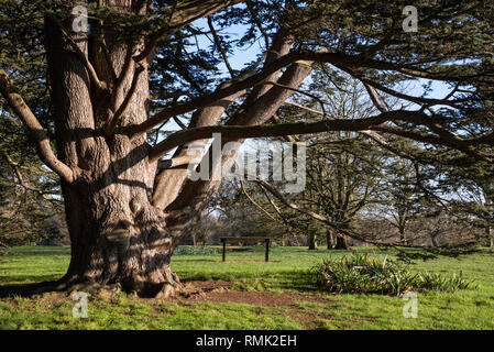 Oxford University Parks in inverno Foto Stock