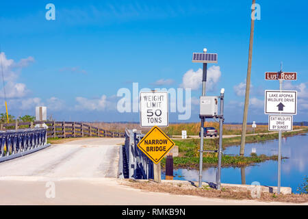 Stretto ponte attraversa il Canal sul lago Apopka North Shore Drive Wildlfie vicino a Orlando Foto Stock