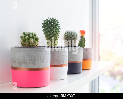 Colorato moderno in cemento con le piantatrici cactus sul ripiano bianco su bianco sullo sfondo della parete vicino al vetro della finestra. Di cemento dipinta di vasi per home decorat Foto Stock