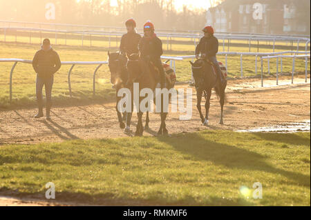 I cavalli e i loro cavalieri l esercizio lungo la collina di Warren galoppa in Newmarket Suffolk. Le corse di cavalli in Gran Bretagna riprenderanno domani a seguito di un 6 giorno Foto Stock