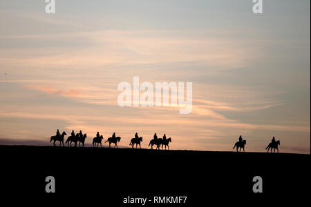 I cavalli e i loro cavalieri l esercizio lungo la collina di Warren galoppa in Newmarket Suffolk. Le corse di cavalli in Gran Bretagna riprenderanno domani a seguito di un 6 giorno Foto Stock