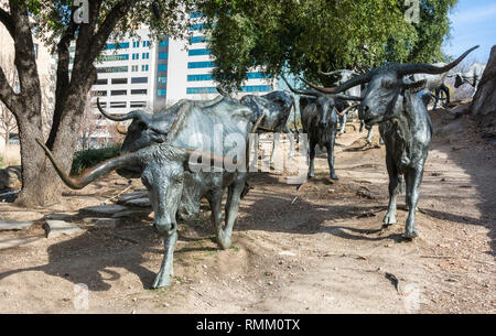 Dallas, Texas, Stati Uniti d'America - 31 dicembre 2016. Texas longhorns facente parte di un enorme monumento in bronzo di 40 più grandi di quelle reali longhorn Foto Stock