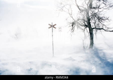 Che mostra segni di pista da sci nella nebbia Foto Stock