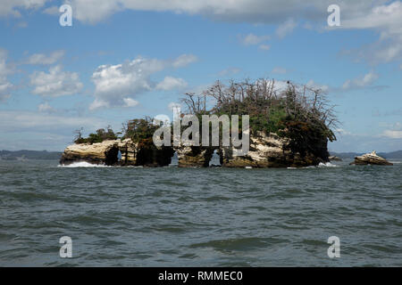 Mare costiero pile in oceano, Matsushima, Honshu, Giappone Foto Stock