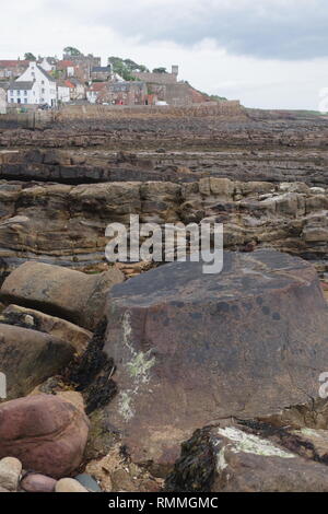 Lepidodendron tronco di albero fossile. Scottish carbonifero Geologia esposta sulla costa di Fife a Crail. La Scozia, Regno Unito. Foto Stock