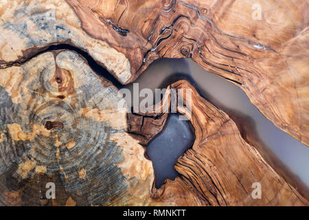 Tree fetta tagliata, sezione di forma irregolare, consistenza naturale, morbido di colore marrone e giallo naturale moncone rotto vintage vecchio sfondo colorato. Fare il vostro Foto Stock
