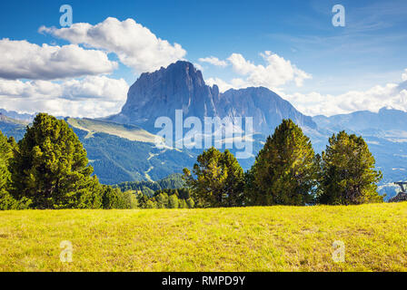 Ottima vista sul Sassolungo (Sassolungo) gruppo, valle Gardena. Parco Nazionale Dolomiti Alto Adige Südtirol. Località di Ortisei, Santa Cristina e Selva di Val Gardena Foto Stock