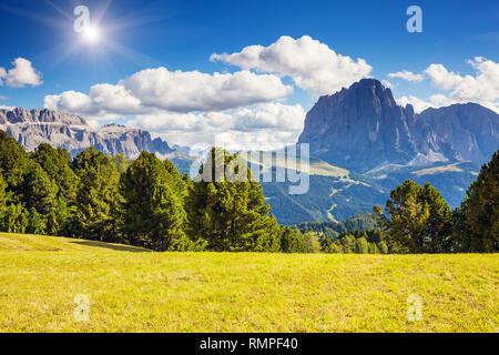 Ottima vista sul Sassolungo (Sassolungo) e gruppo del Sella, valle Gardena. Parco Nazionale Dolomiti Alto Adige Südtirol. Località di Ortisei, S. Cristina e SELV Foto Stock