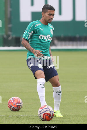 Sao Paulo, Brasile. 15 Feb, 2019. Il giocatore Dudu, da SE Palmeiras, durante la formazione, all'Accademia del calcio. (Foto: Cesar Greco/Fotoarena) Credito: Foto Arena LTDA/Alamy Live News Foto Stock