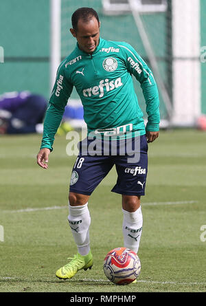 Sao Paulo, Brasile. 15 Feb, 2019. Il giocatore Guerra, da SE Palmeiras, durante la formazione, all'Accademia del calcio. (Foto: Cesar Greco/Fotoarena) Credito: Foto Arena LTDA/Alamy Live News Foto Stock