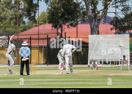 Adelaide, Australia. Xvi Feb, 2019. Associazione di una partita di cricket tra Sir Alfred Hitchcock Rekabiti Cricket Club e Pooraka Mighty tori essendo giocato al Matheson riserva su un caldo sabato pomeriggio con temperature di 29 gradi celsius Credito: amer ghazzal/Alamy Live News Foto Stock