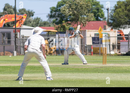 Adelaide, Australia. Xvi Feb, 2019. Un Associatoin partita di cricket tra Sir Alfred Hitchcock Rekabiti Cricket Club e Pooraka Mighty tori essendo giocato al Matheson riserva su un caldo sabato pomeriggio con temperature di 29 gradi celsius Credito: amer ghazzal/Alamy Live News Foto Stock