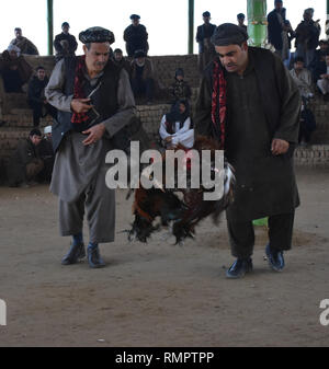 Afghanistan, Afghanistan. 15 Feb, 2019. Gli uomini afghani guarda cockfighting a Mazar-i-Sharif, capitale della provincia di Balkh, Afghanistan settentrionale, Feb 15, 2019. Cockfighting come una cultura di passatempo è popolare in Afghanistan. Credito: Kawa Basharat/Xinhua/Alamy Live News Foto Stock