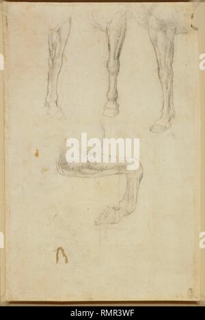 Horse's fore-gambe, compreso uno sollevate e ripiegate. c 1517-18. Autore: LEONARDO DA VINCI. Foto Stock