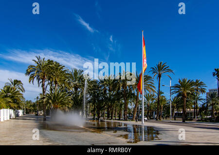 Elche, Alicante, Spagna; Febbraio 2017: Il Palmeral di Elche, Spagna, uno dei più grandi del mondo. UNESCO patrimonio dell'umanità Foto Stock