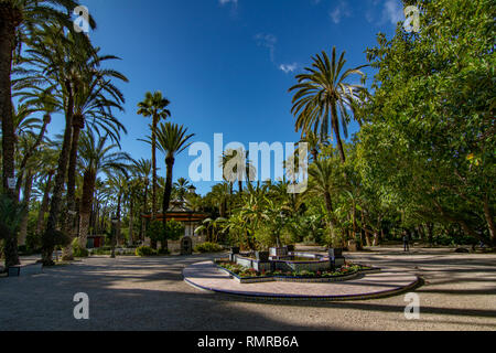 Elche, Alicante, Spagna; Febbraio 2017: Il Palmeral di Elche, Spagna, uno dei più grandi del mondo. UNESCO patrimonio dell'umanità Foto Stock