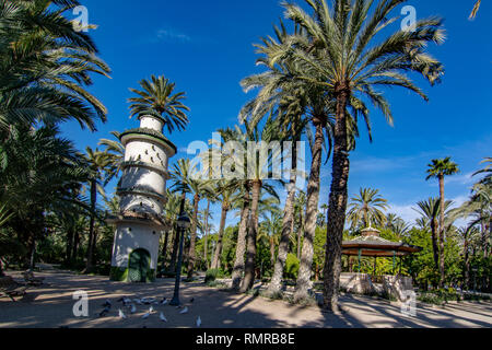 Elche, Alicante, Spagna; Febbraio 2017: Il Palmeral di Elche, Spagna, uno dei più grandi del mondo. UNESCO patrimonio dell'umanità Foto Stock