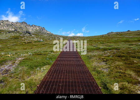 Il vertice passeggiata che conduce fino al Monte Kosciuszko nelle montagne innevate in estate Foto Stock