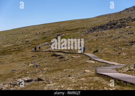 Il vertice passeggiata che conduce fino al Monte Kosciuszko nelle montagne innevate in estate Foto Stock