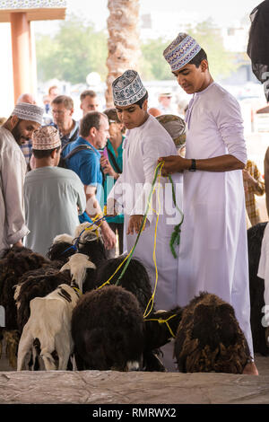 Nizwa, Oman - 2 Novembre 2018: Ragazzi portare le capre per il mercato degli animali a Nizwa Foto Stock