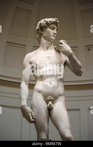 Firenze. L'Italia. Michelangelo della statua di Davide (1501-1504), la Galleria dell'Accademia. Foto Stock