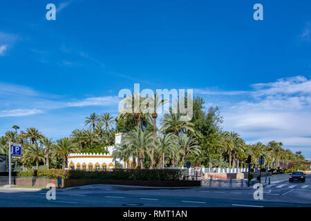 Elche, Alicante, Spagna; Febbraio 2017: Il Palmeral di Elche, Spagna, uno dei più grandi del mondo. UNESCO patrimonio dell'umanità Foto Stock