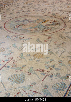 Pavimento a mosaico nella chiesa degli Apostoli, Madaba Madaba Governatorato, Giordania Foto Stock