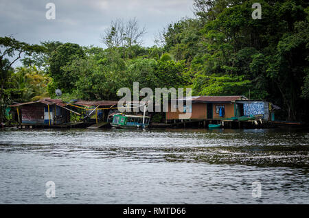 Pier nel Parco Nazionale di Tortuguero in Costa Rica Foto Stock