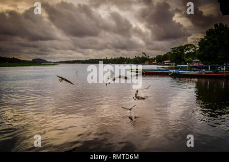 Pier nel Parco Nazionale di Tortuguero in Costa Rica Foto Stock