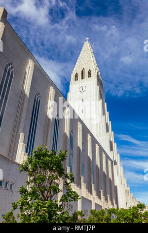 Architettura espressionista Hallgrimskirkja stile (chiesa di Hallgrímur) luterana chiesa parrocchiale a Reykjavik, in Scandinavia, la più grande chiesa in Icelan Foto Stock