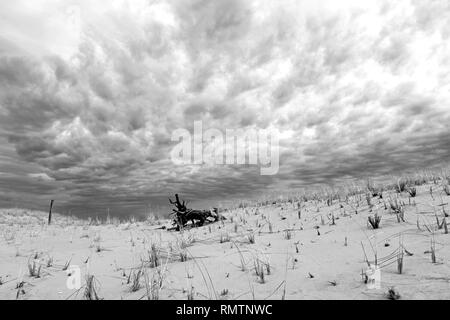 Lavalette, New Jersey, inverno Foto Stock