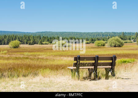 Prato di montagna con vuoto sedile unico, Blue Mountains, Golden erba Foto Stock