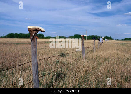 Boot come palo da recinzione caps,Saskatchewan, Canada Foto Stock