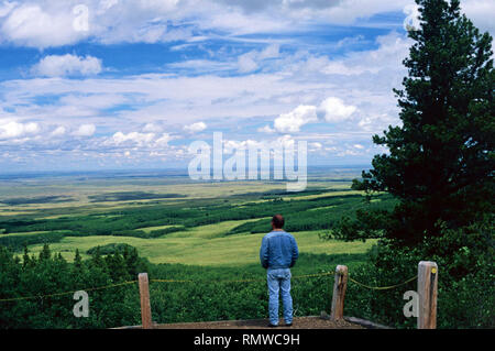 Punto di vedetta, Cypress Hills Parco Provinciale,Saskatchewan, Canada Foto Stock