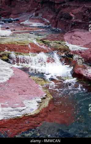 Il Red Rock Creek,Parco Nazionale dei laghi di Waterton,Alberta, Canada Foto Stock