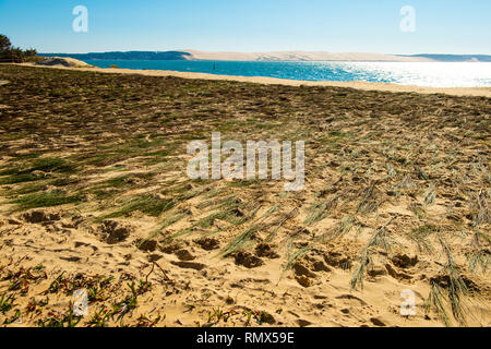 Vista aerea, erosione delle coste in corrispondenza della punta del Cap Ferret, la baia di Arcachon, Dune di sabbia, Gironde, Aquitaine Foto Stock