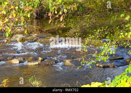 Cascata pittoresca su un veloce flusso cascading su una cengia rocciosa in autunno a incandescente luce della sera Foto Stock