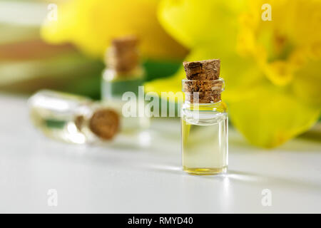 Daffodil olio essenziale di bottiglie con fiore giallo Foto Stock